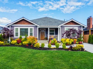 Landscaping San Angelo