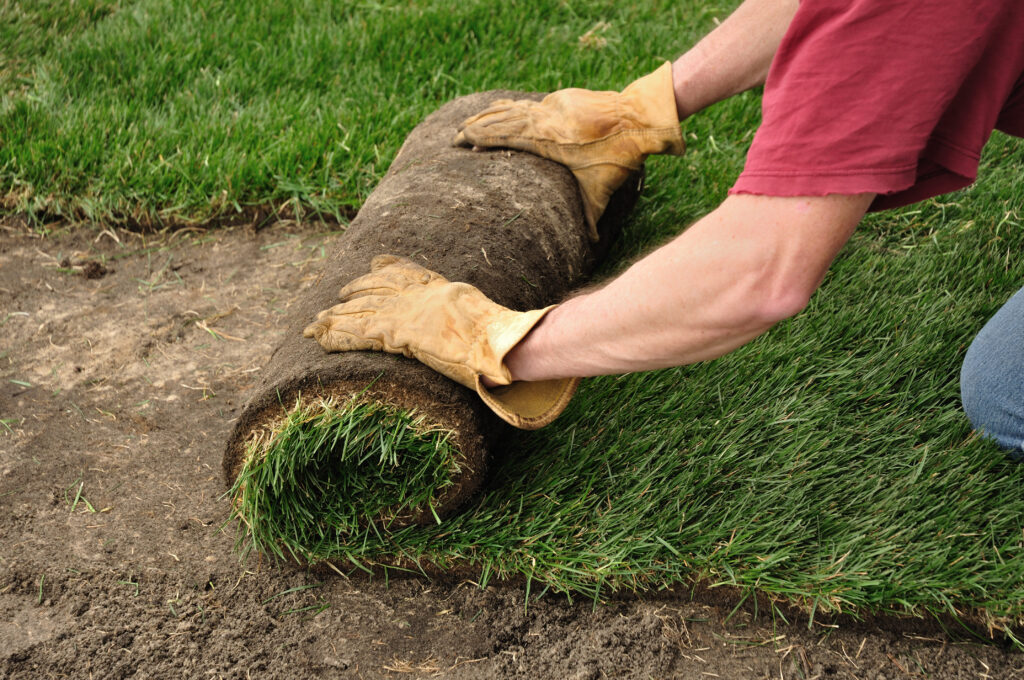 Turf Contractors Gilbert Az